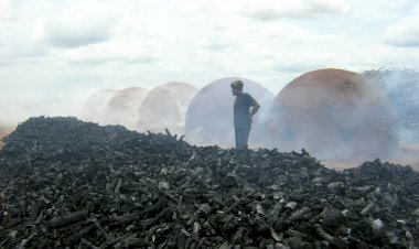 Carvoarias no Vale do Aço